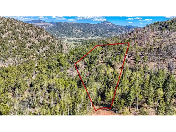 56 Fir, Florissant, CO 80816
