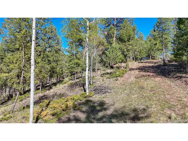 56 Fir, Florissant, CO 80816