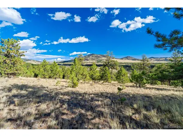 455 County Road 132, Guffey, CO 80820