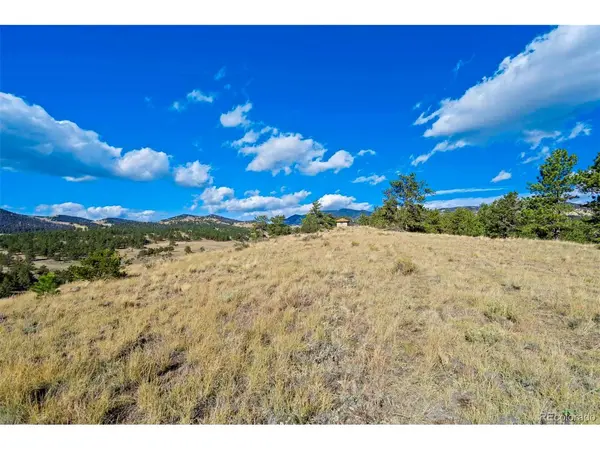 455 County Road 132, Guffey, CO 80820