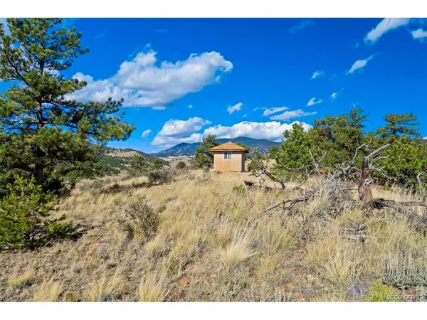 455 County Road 132, Guffey, CO 80820