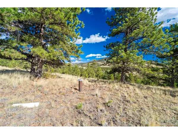 455 County Road 132, Guffey, CO 80820