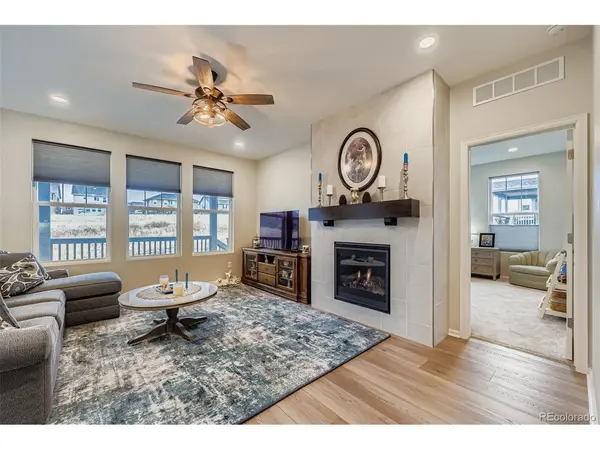 1853 Water Birch, Castle Rock, CO 80108