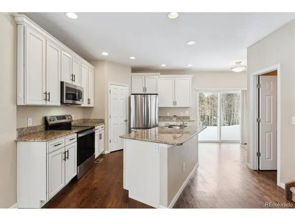 820 N Vernon, Central City, CO 80427
