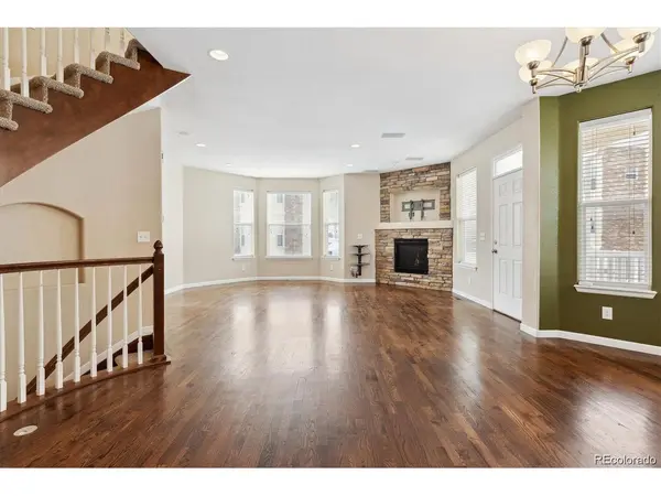 820 N Vernon, Central City, CO 80427