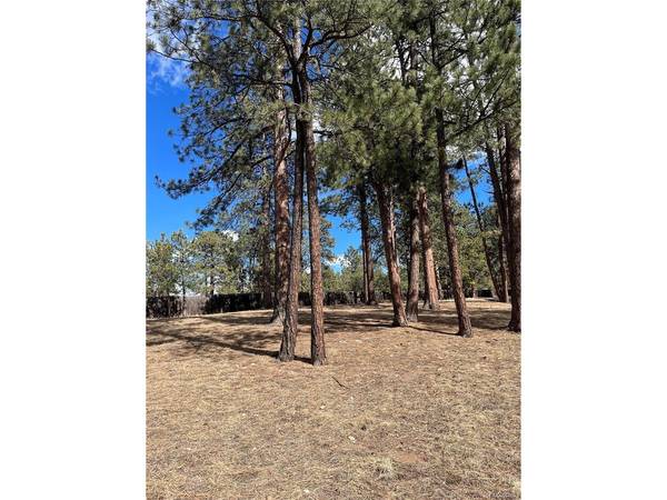 0 Pawnee, Indian Hills, CO 80454