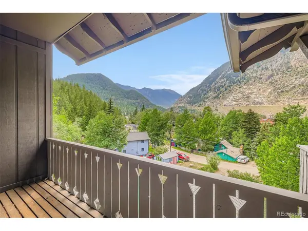 817 Valley View, Georgetown, CO 80444