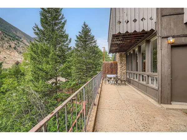 817 Valley View, Georgetown, CO 80444
