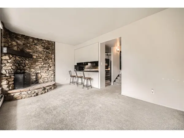 817 Valley View, Georgetown, CO 80444
