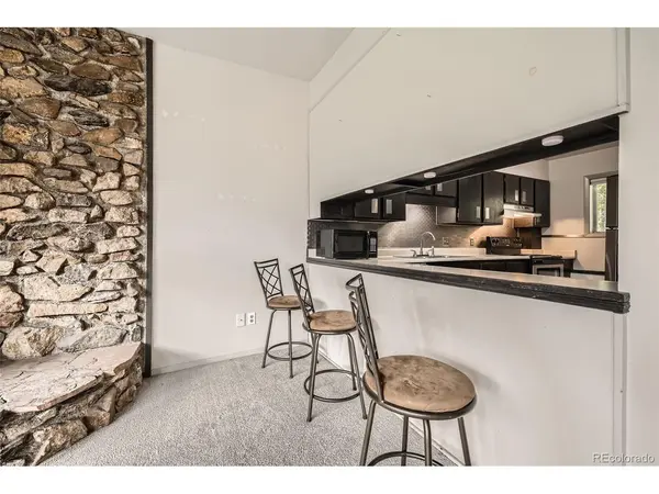 817 Valley View, Georgetown, CO 80444