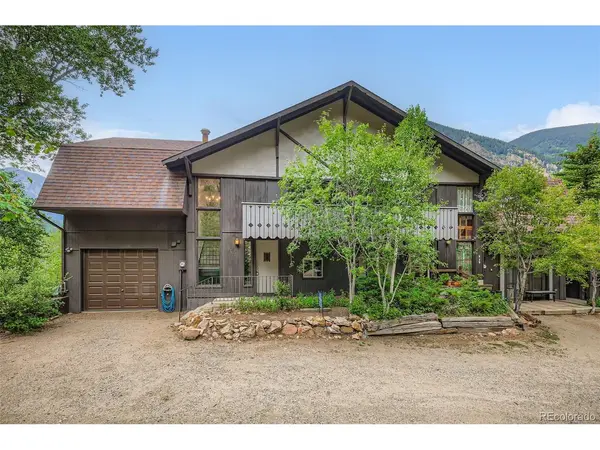 817 Valley View, Georgetown, CO 80444