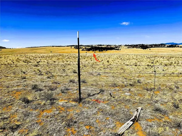 77 Black Bear, Hartsel, CO 80449