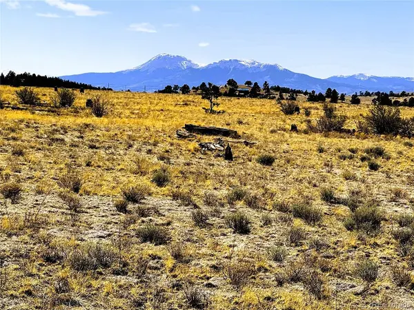 77 Black Bear, Hartsel, CO 80449