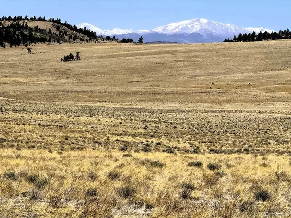 77 Black Bear, Hartsel, CO 80449