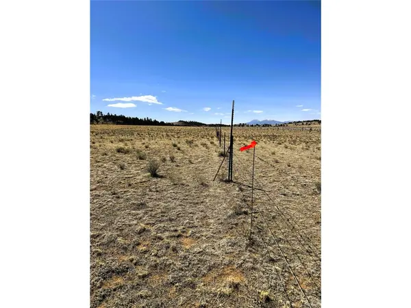 77 Black Bear, Hartsel, CO 80449
