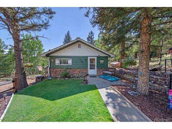 567 Forest, Bailey, CO 80421