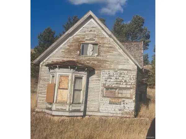 2227 County Road 31, Florissant, CO 80816