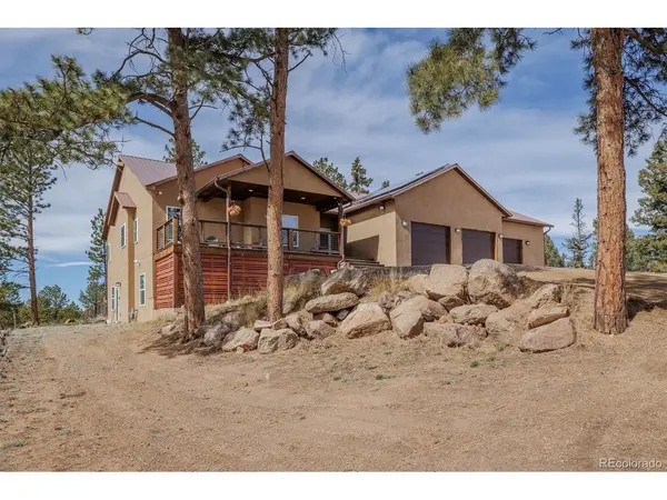 293 Daniwood, Florissant, CO 80816