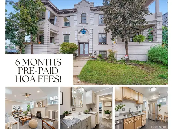 951 N Corona #5,  Denver,  CO 80218