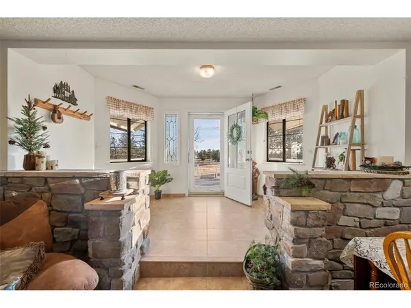 537 Chapparal, Florissant, CO 80816