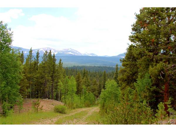 Glacier Ridge, Alma, CO 80420