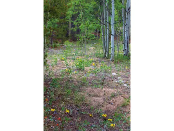 Glacier Ridge, Alma, CO 80420