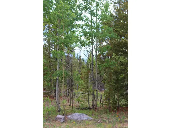 Glacier Ridge, Alma, CO 80420