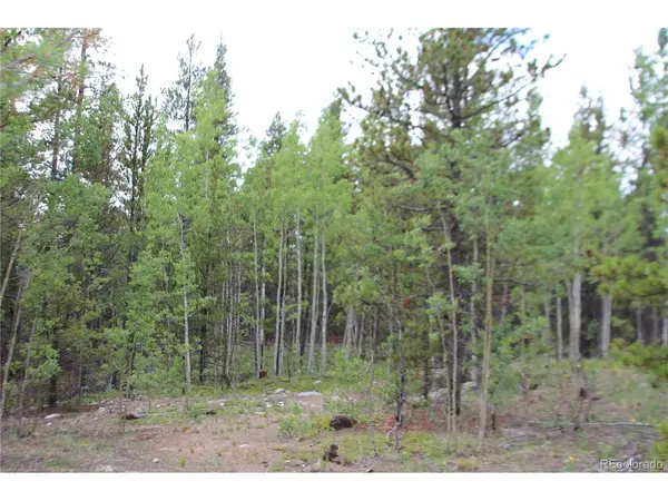 Glacier Ridge, Alma, CO 80420
