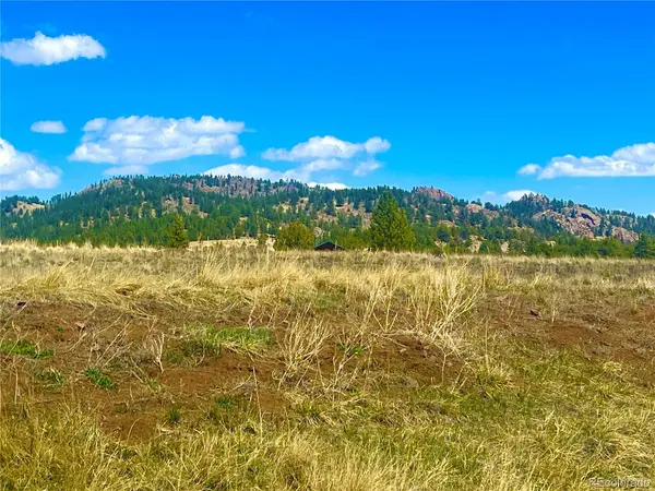 90 Meadow, Guffey, CO 80820
