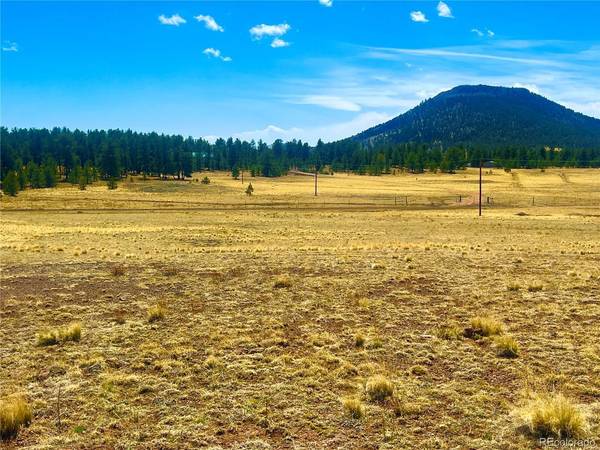 90 Meadow, Guffey, CO 80820
