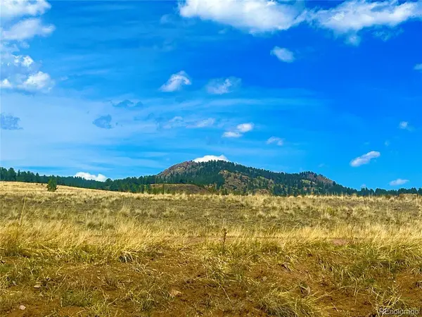 90 Meadow, Guffey, CO 80820