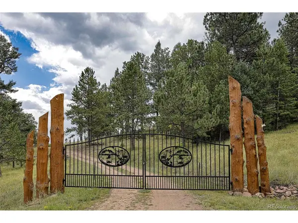 62 Cheyenne, Florissant, CO 80816