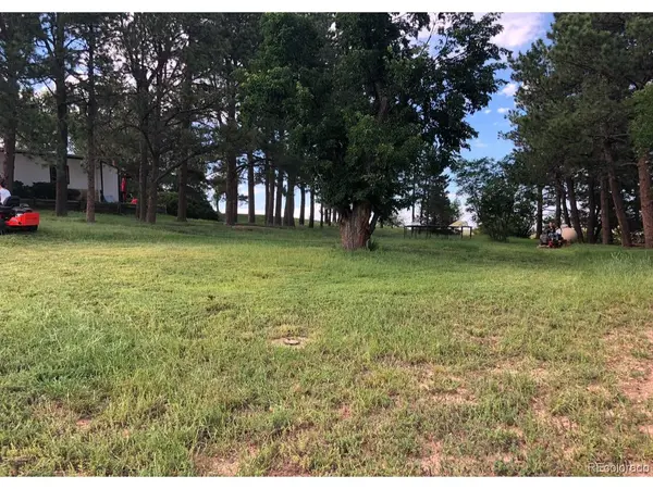 6597 S State Highway 83, Franktown, CO 80116
