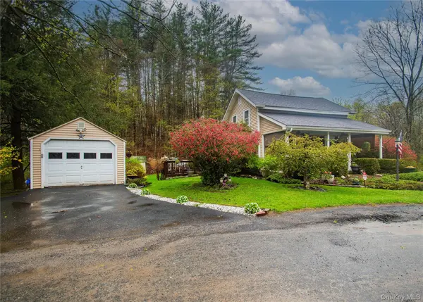 62 Thornton RD, Phillipsport, NY 12769