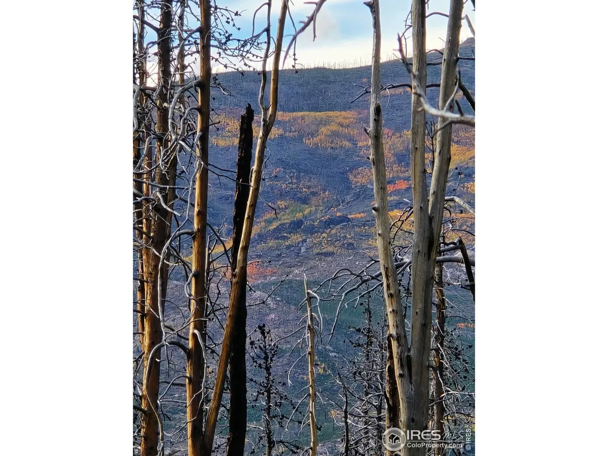 75 Sheep Horn, Bellvue, CO 80512