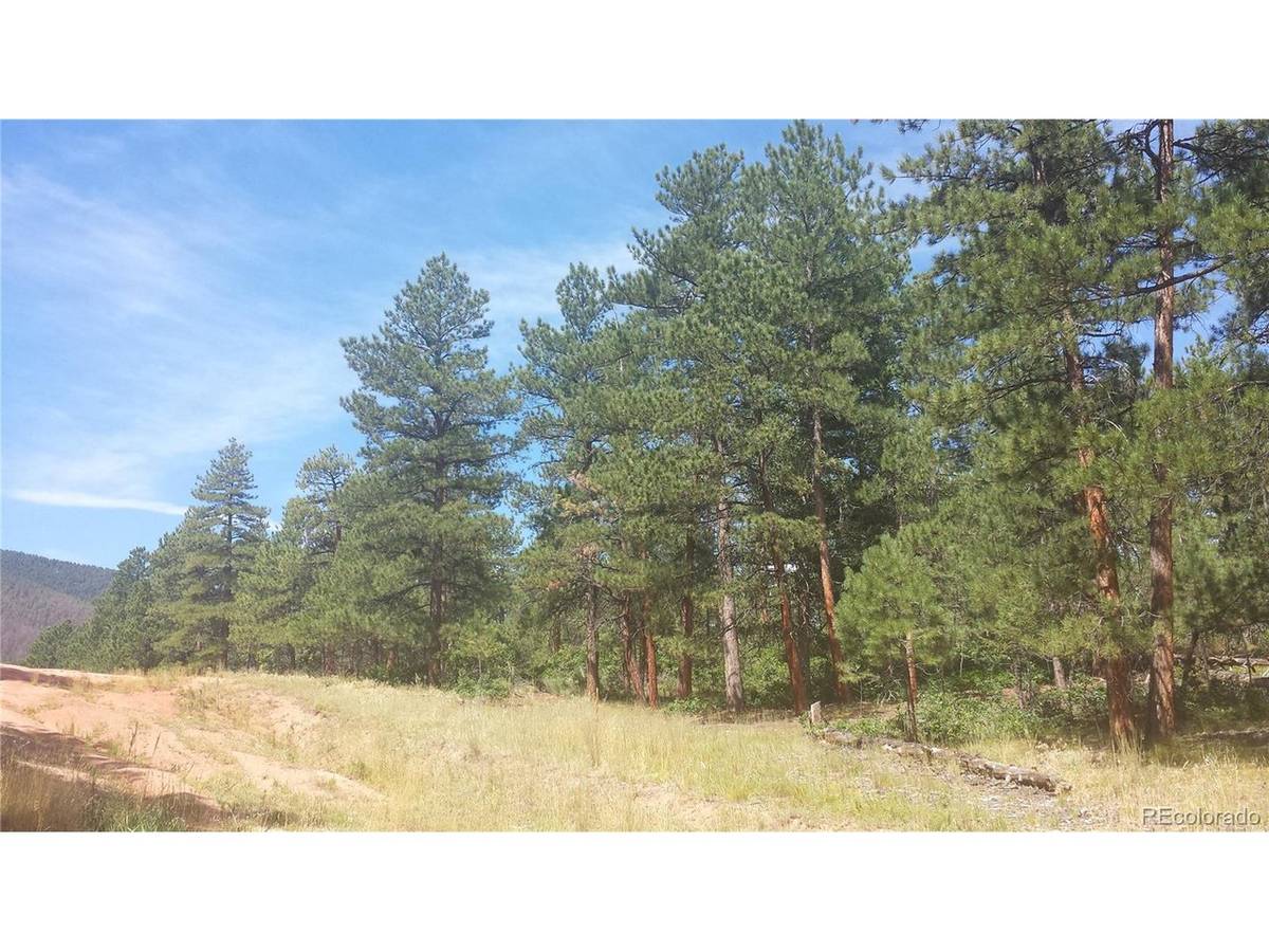 4467 Delaware, Larkspur, CO 80118