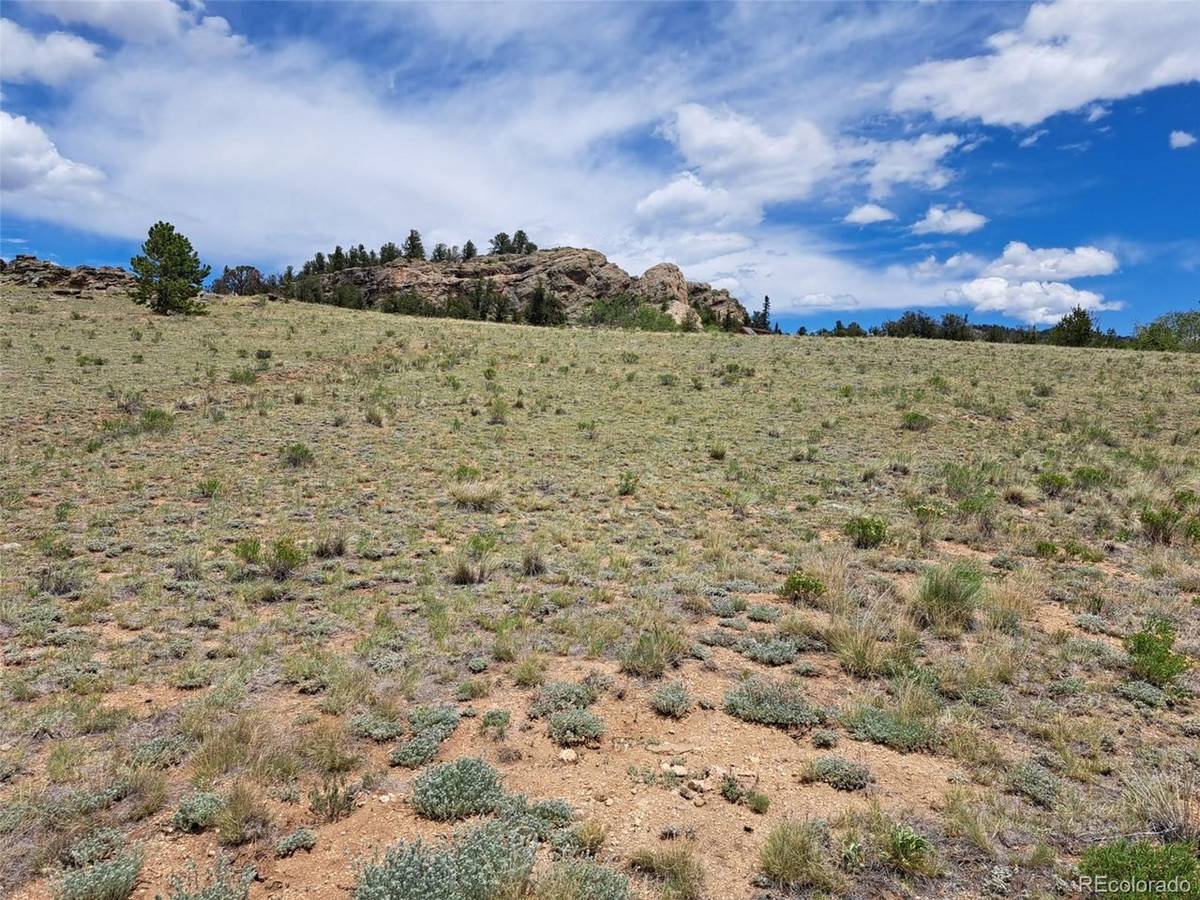 149 Mustang, Jefferson, CO 80456