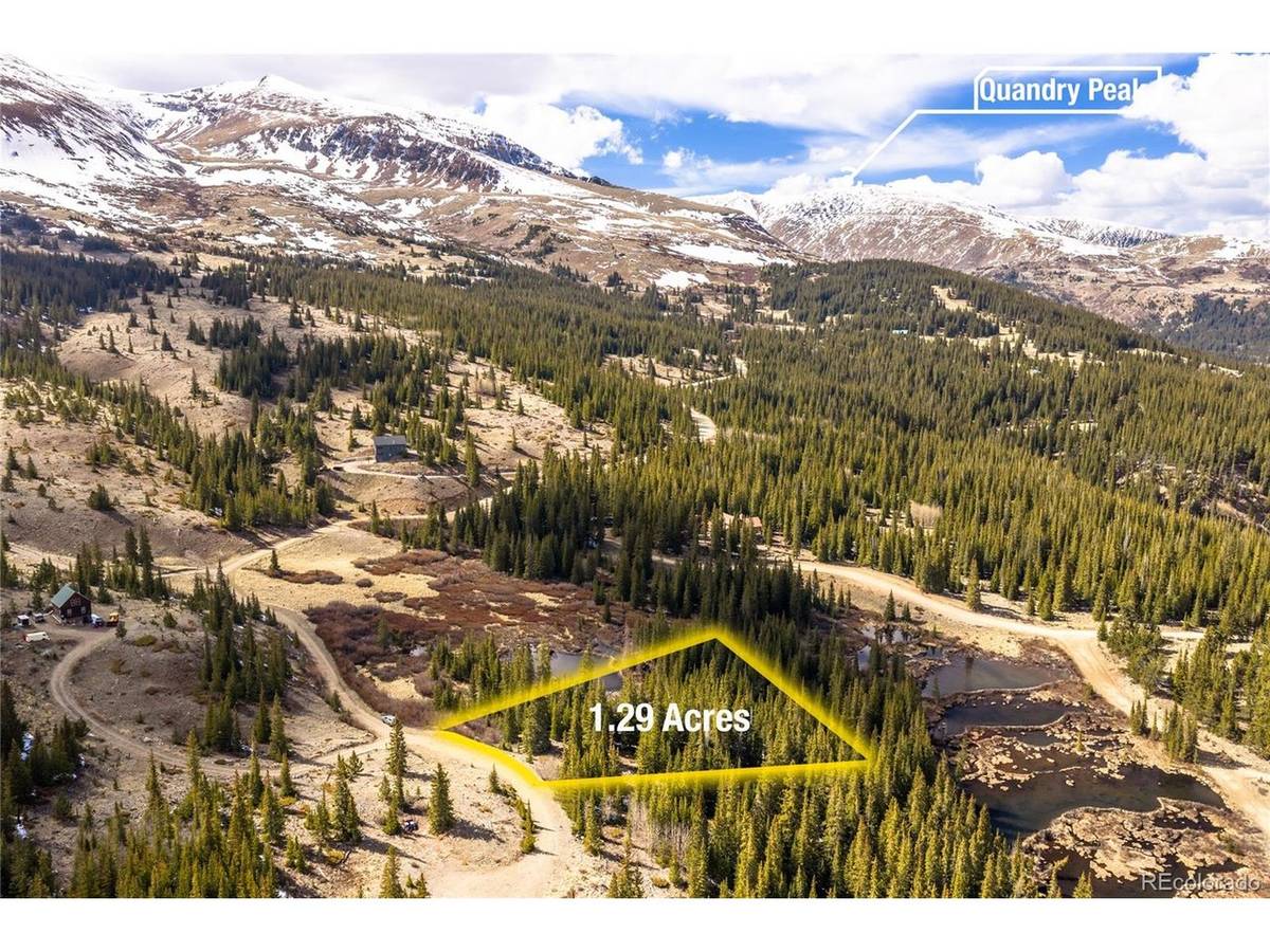 199 Zinc, Alma, CO 80440