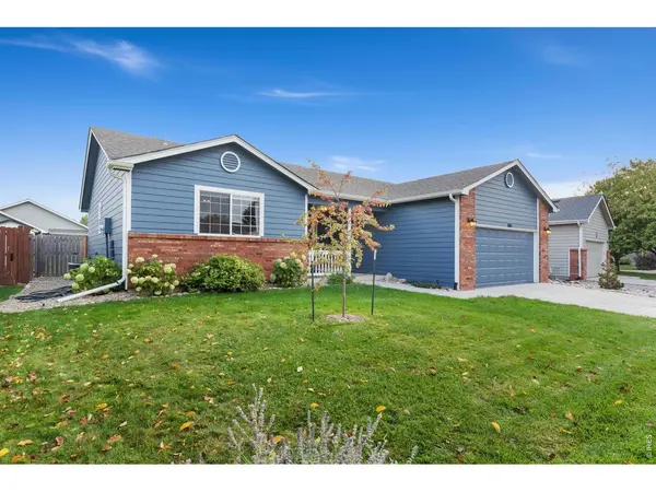 305 Amber, Windsor, CO 80550