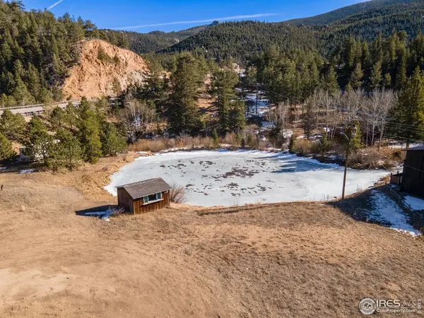 993 Highway 7 Business, Allenspark, CO 80510