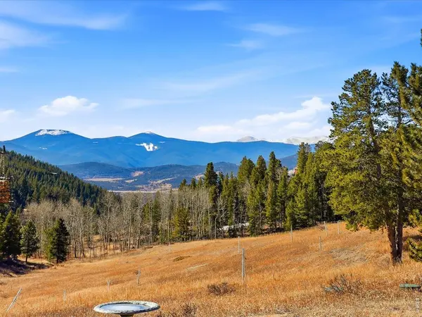 2979 Coyote, Black Hawk, CO 80422