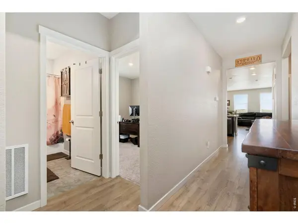 1331 Copeland Falls, Severance, CO 80550