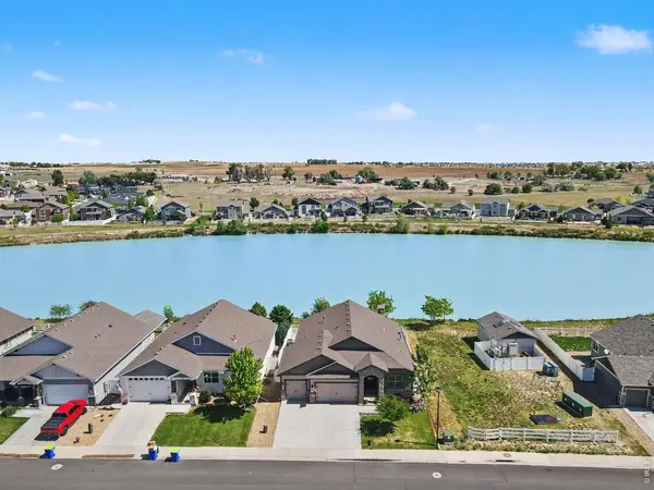 573 Vermilion Peak, Windsor, CO 80550
