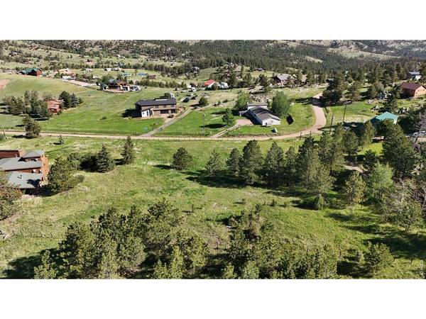 0 Palisade Mountain, Drake, CO 80515