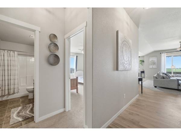 240 Bluegrass, Eaton, CO 80615