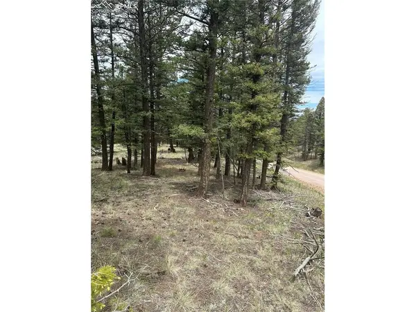 1120 N Mountain Estates, Florissant, CO 80816