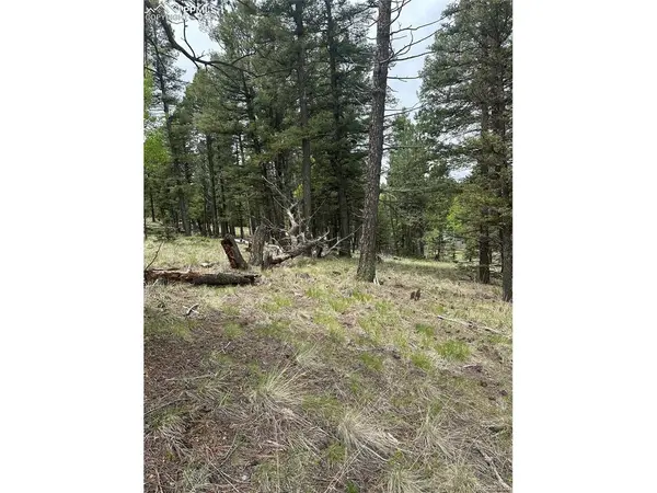 1120 N Mountain Estates, Florissant, CO 80816