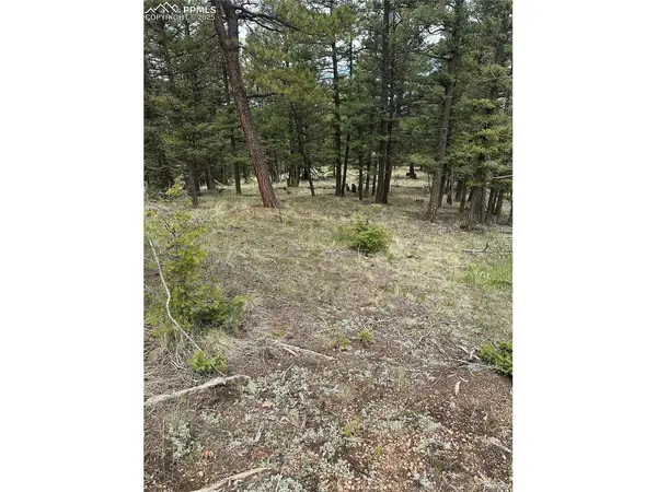 1120 N Mountain Estates, Florissant, CO 80816
