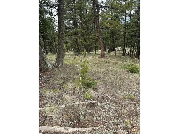 1120 N Mountain Estates, Florissant, CO 80816