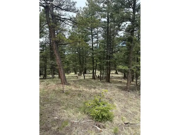 1120 N Mountain Estates, Florissant, CO 80816